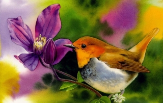 watercolor robin