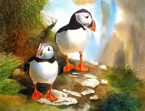 Puffins – tutorial preview