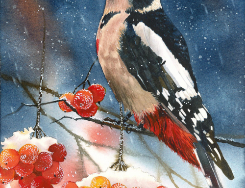 Winter Woodpecker – Tutorial Preview