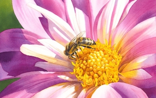 Bee sitting on a flower