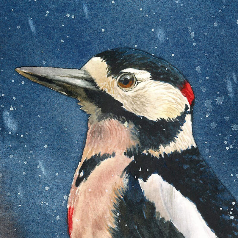 Winter Woodpecker painting detail