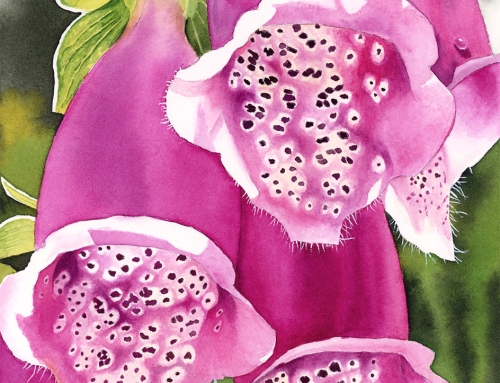 How to Paint Foxglove with Watercolors – Tutorial Preview