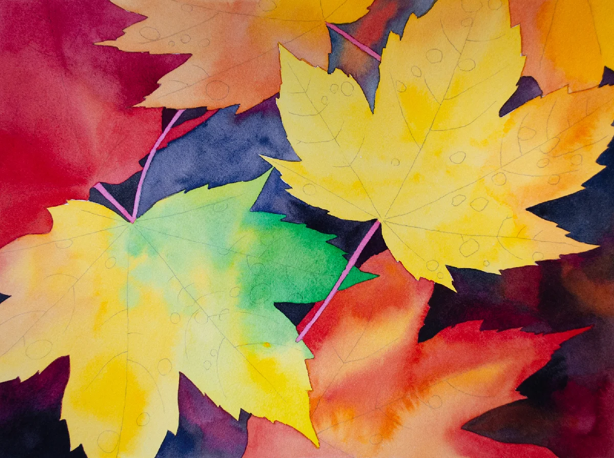 Autumn leaves watercolor in progress with dark negative spaces defining the colorful maple leaves