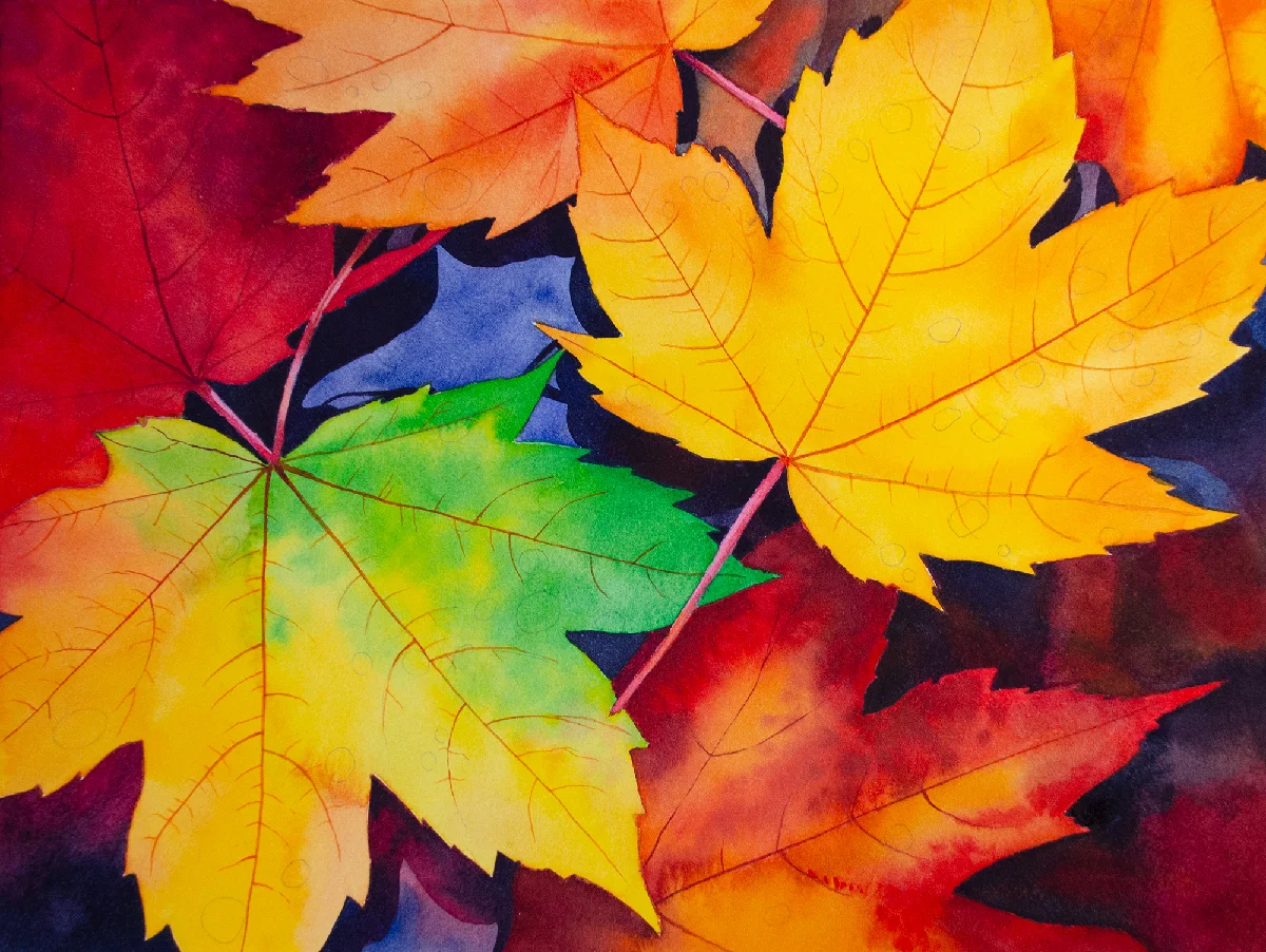 Autumn leaves watercolor painting in progress with veins and stems added to the maple leaves