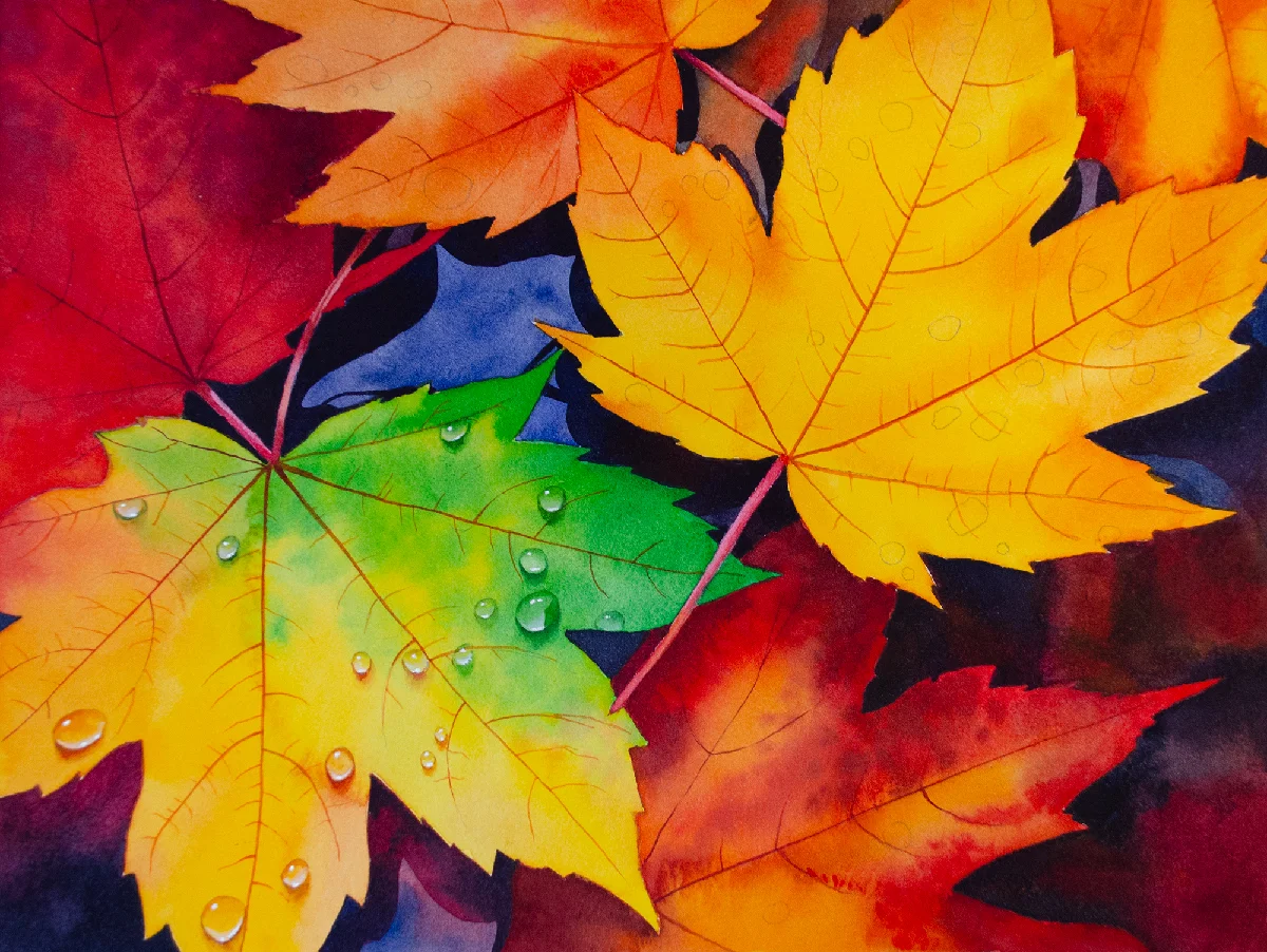 Water droplets painted on colorful autumn maple leaves in watercolor