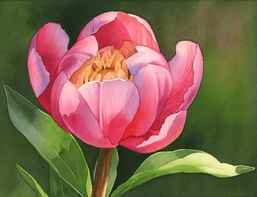 Unlock the Magic of Watercolor Painting with Peony