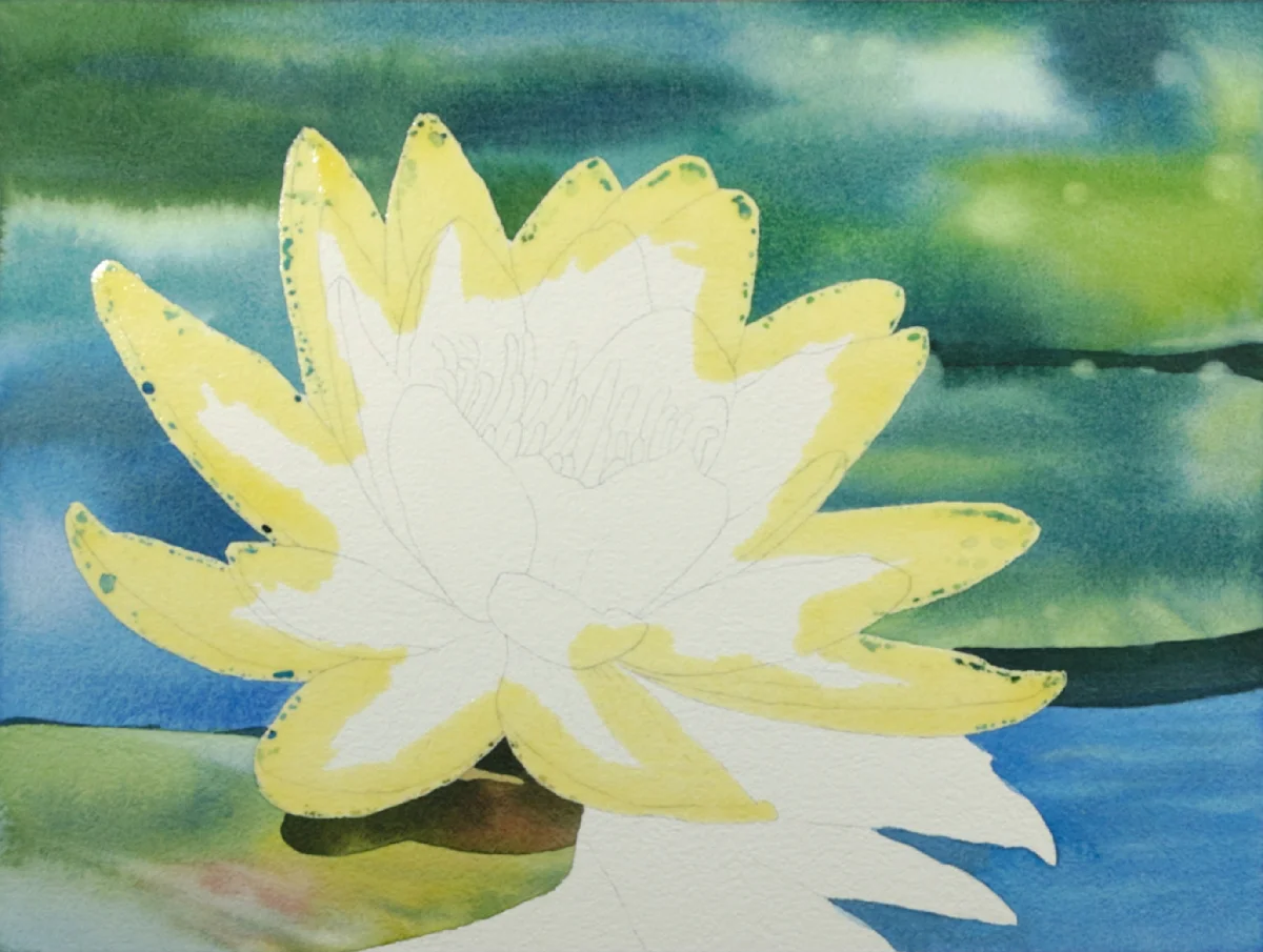 Soft blue and green watercolor background painted around a masked water lily