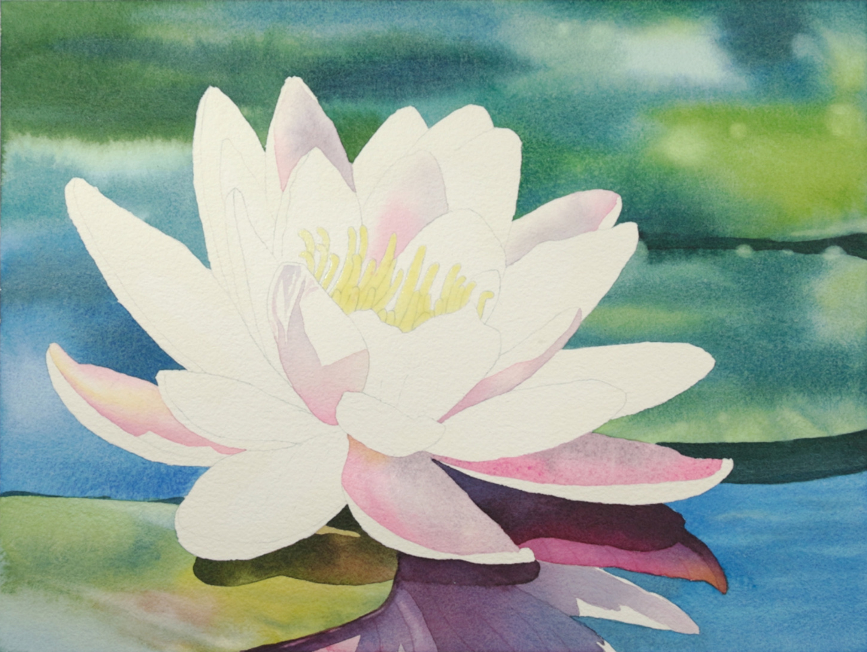Pale pink and violet first layers on watercolor water lily petals