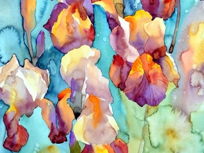 Rainy Irises